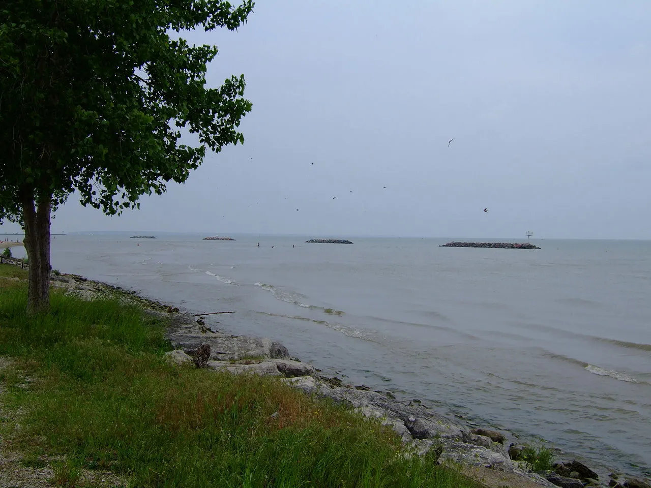 East Harbor Campground D & E Loops; Group Camps