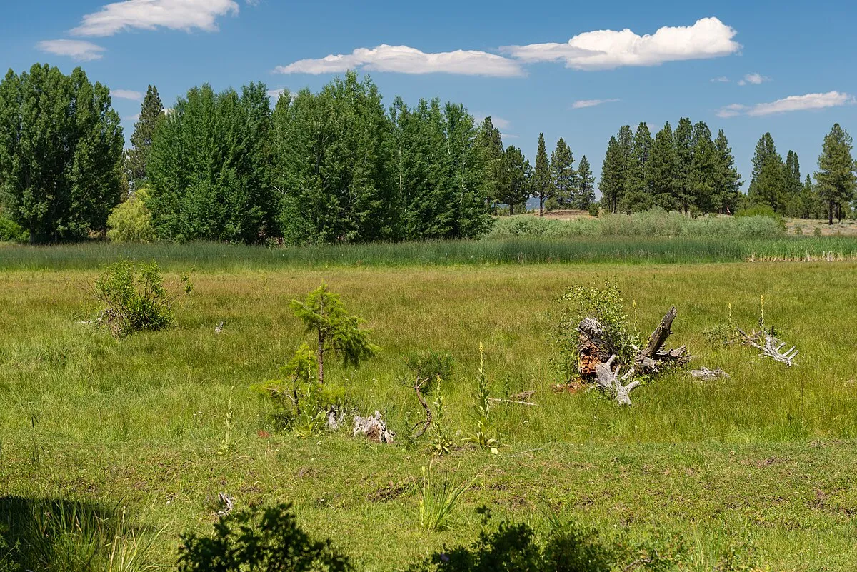 Elkhorn Campground