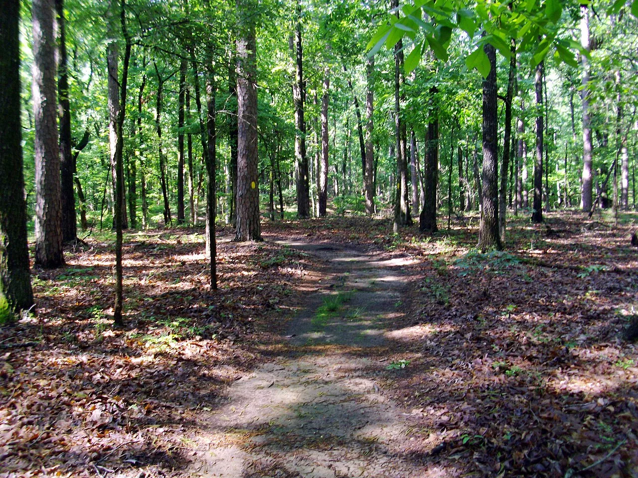 Cane Creek Campground