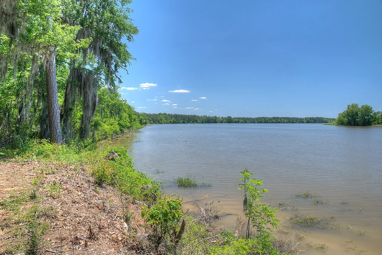 Bluff Creek
