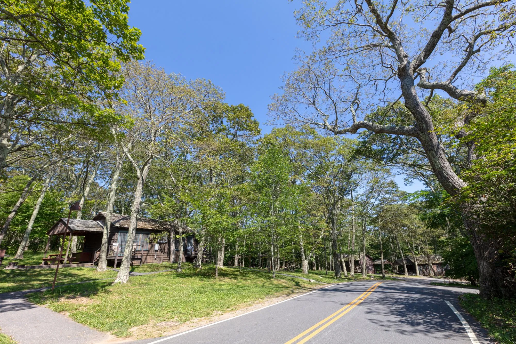 Lewis Mountain Campground