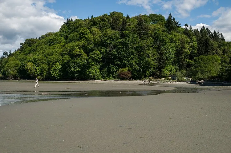 Dash Point State Park