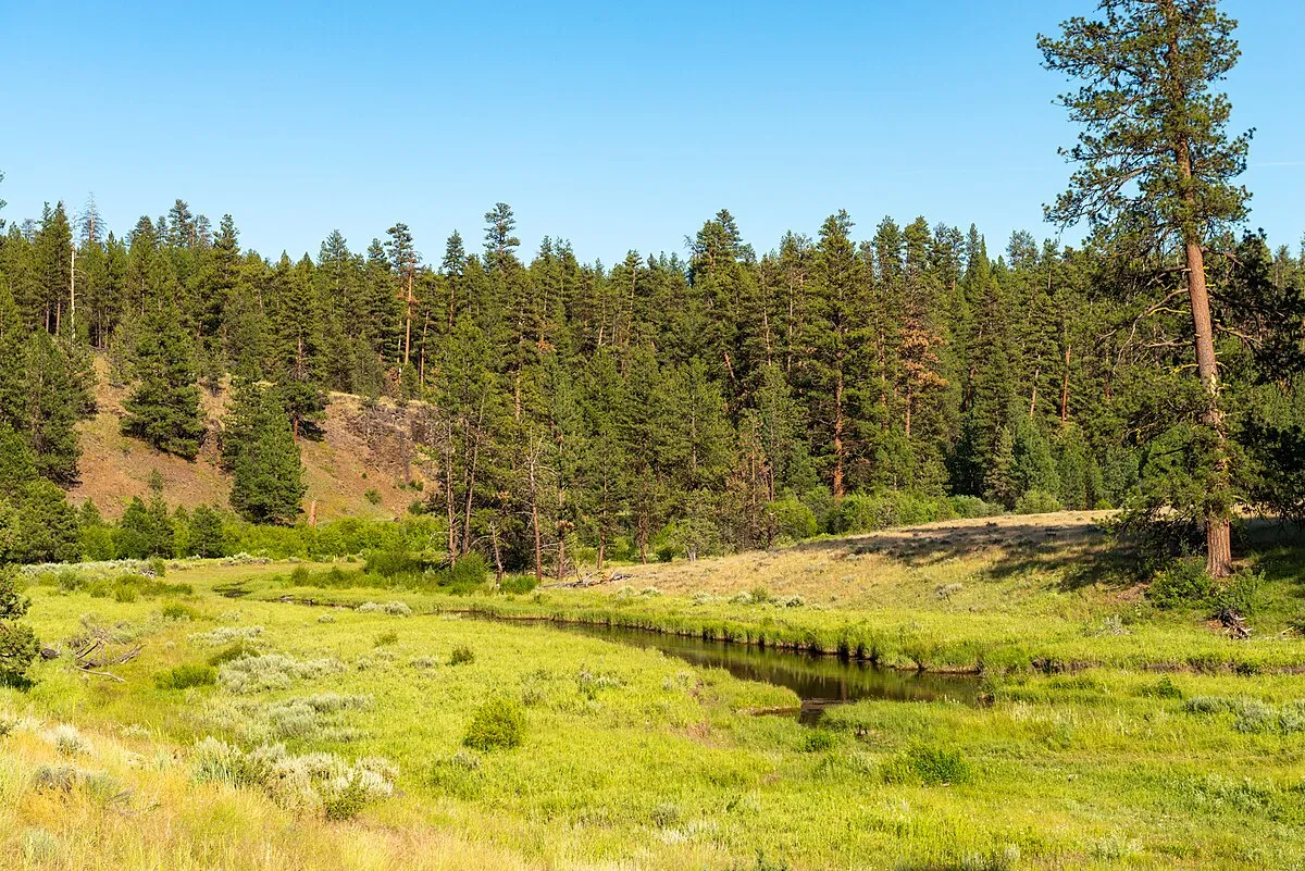 Deep Creek Campground