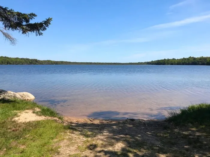 Little Brevort Lake-North State Forest Campground