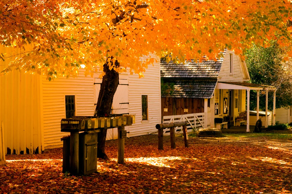 Malakoff Diggins State Historic Park Campground