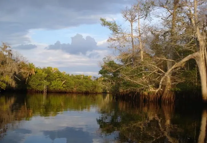 Jonathan Dickinson State Park Loop Rc