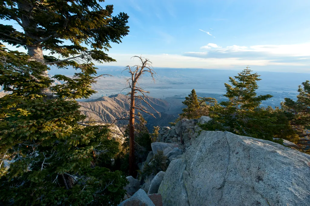 Strawberry Junction Campground