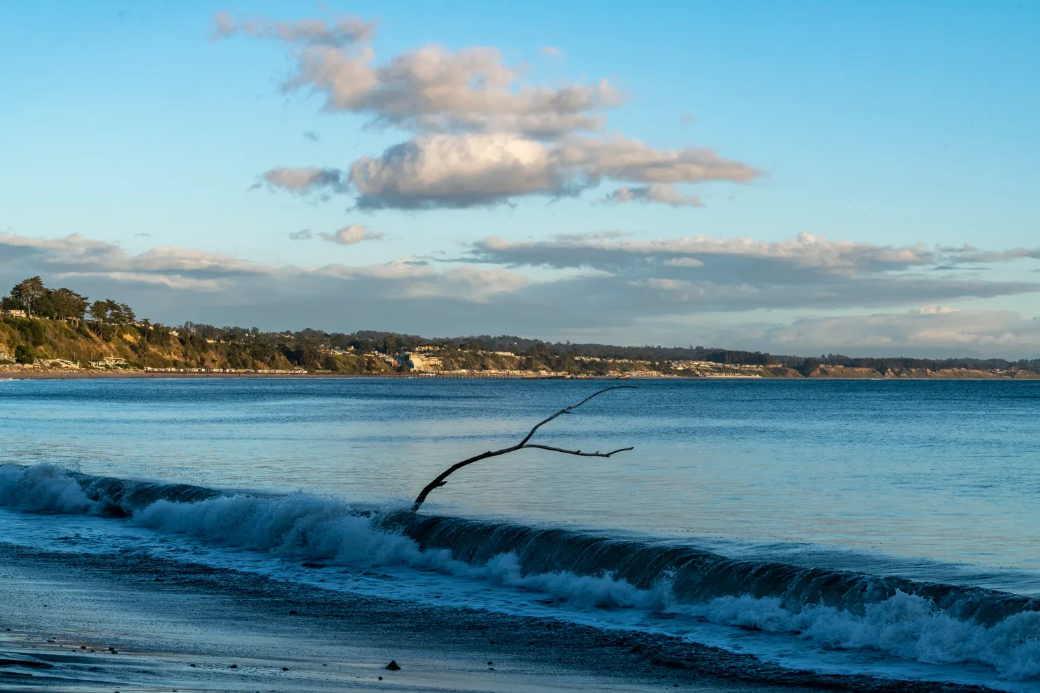 New Brighton State Beach Campground