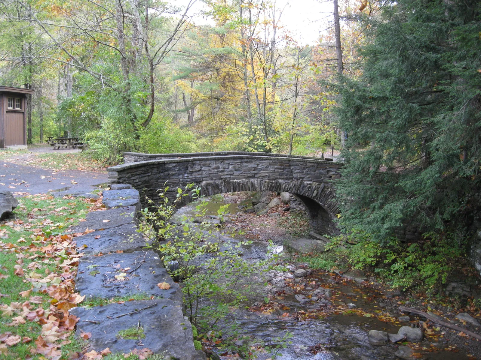 Robert H Treman State Park