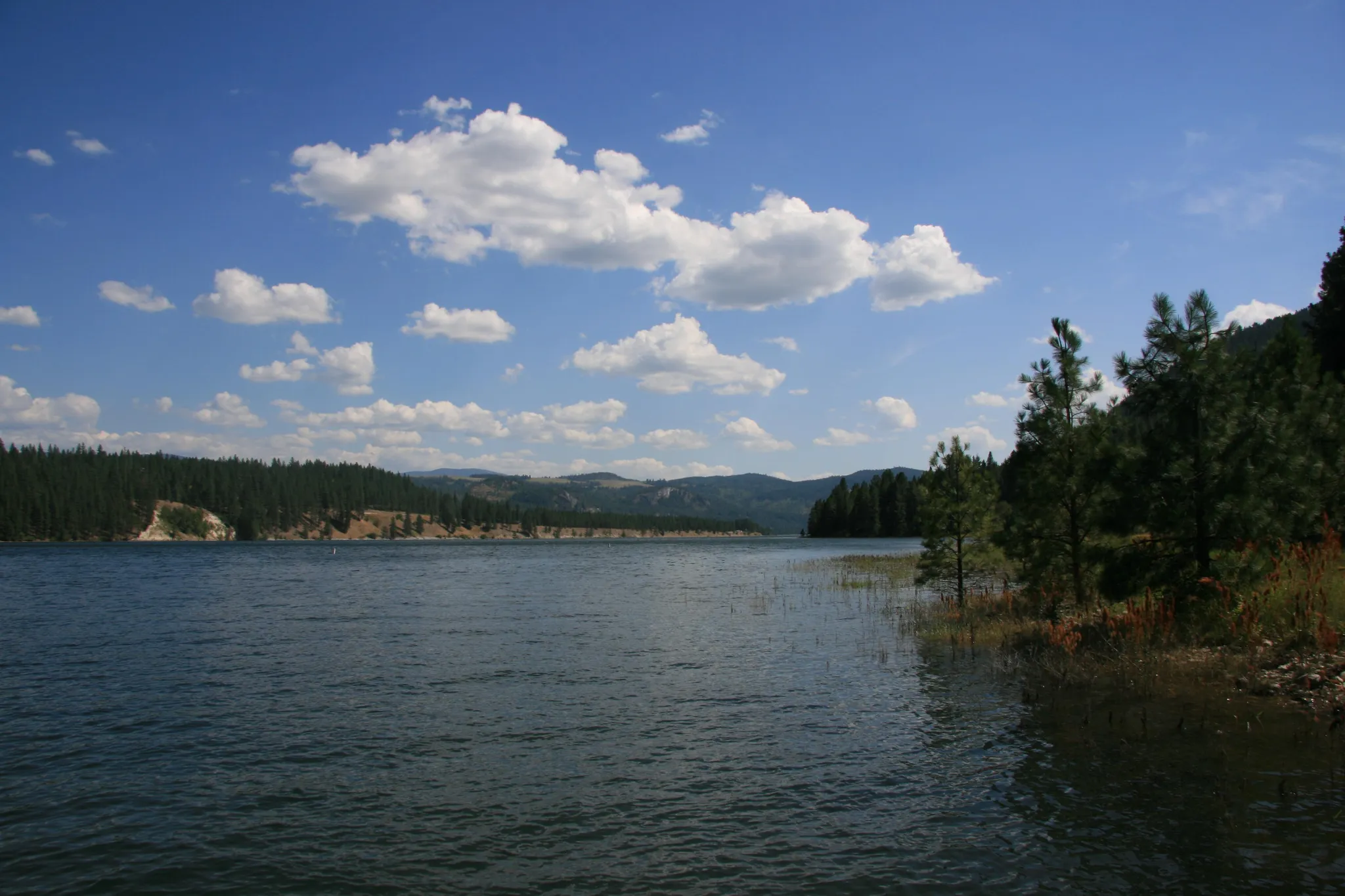 Snag Cove Campground