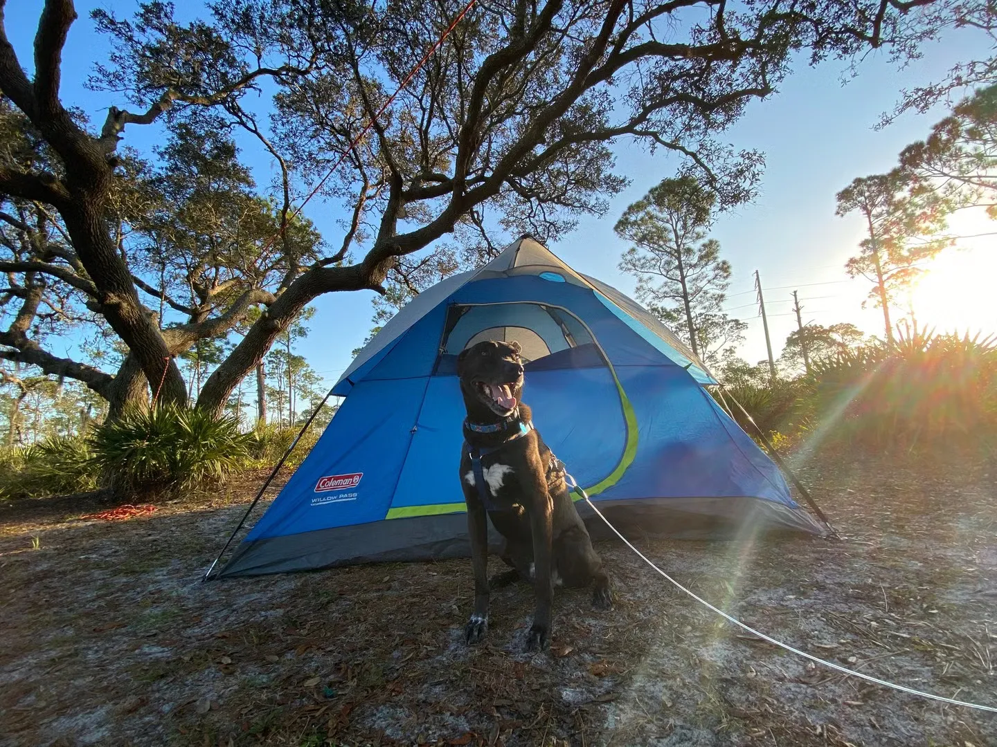 Highlands Hammock State Park Campground 2