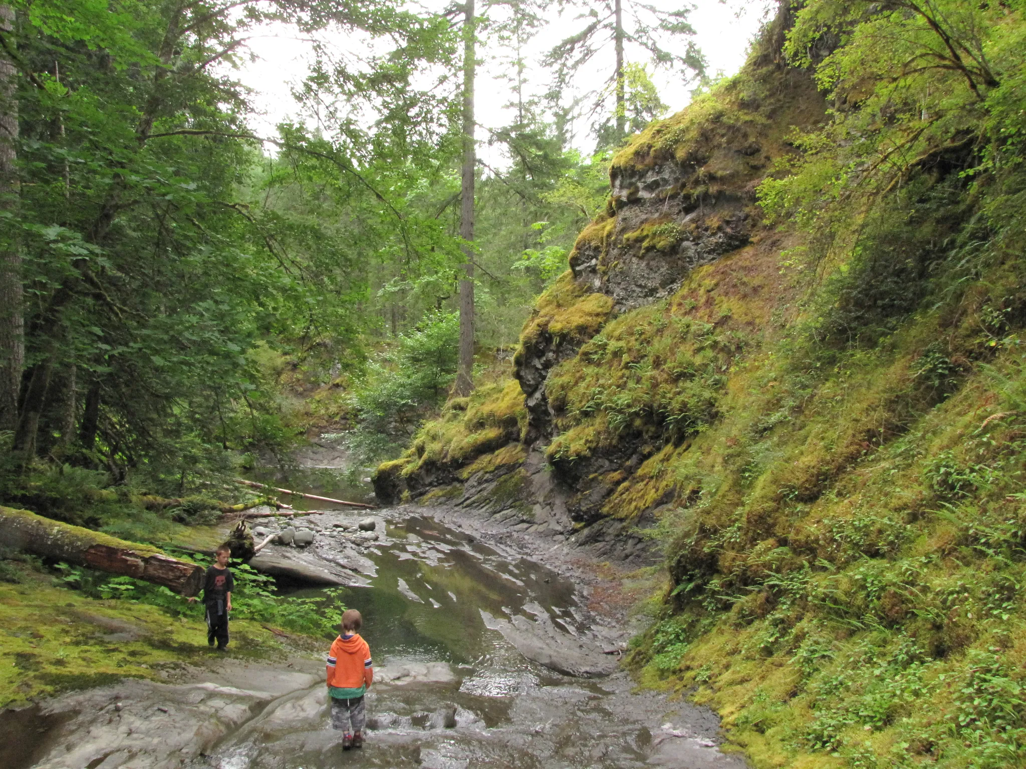 Benson State Recreation Area