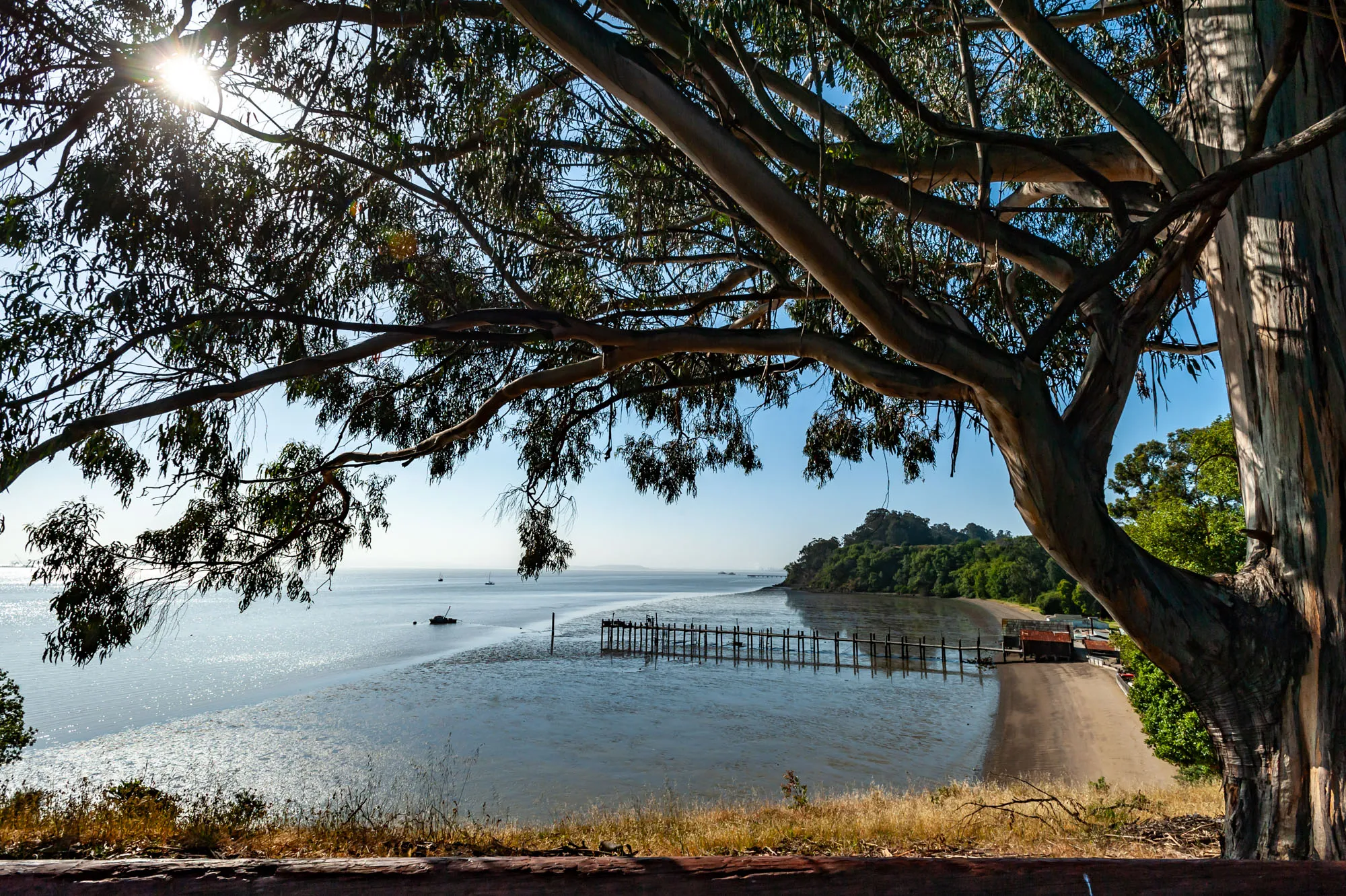 China Camp State Park Campground