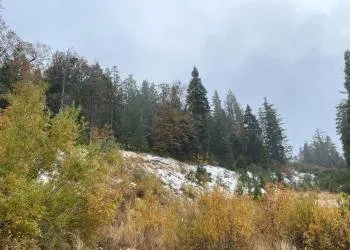 Clark's Ranch Yellow Post Site