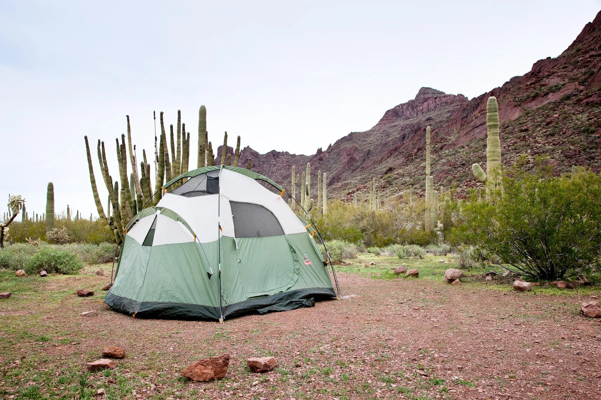 Alamo Canyon Primitive Campground 