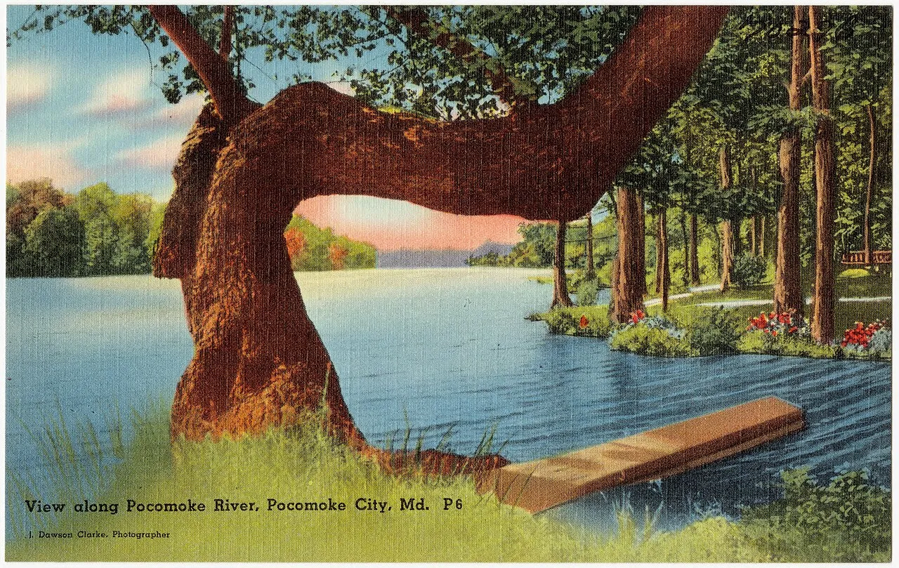 Pocomoke River State Park