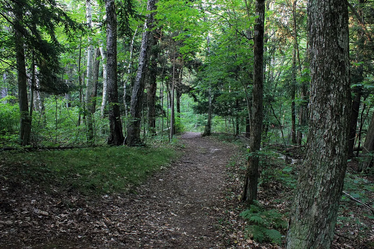 Point Beach State Forest