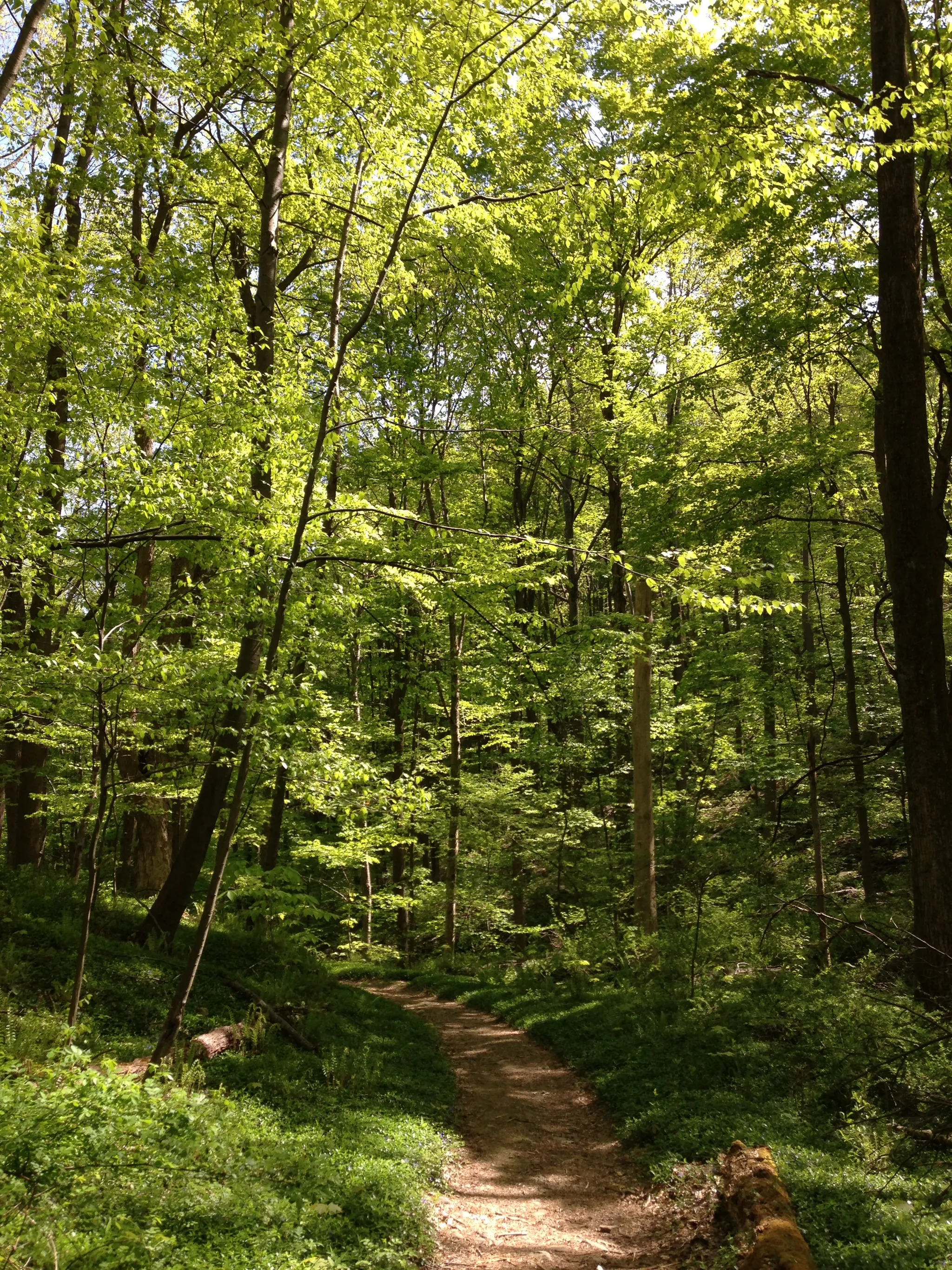 Jenny Jump Campground