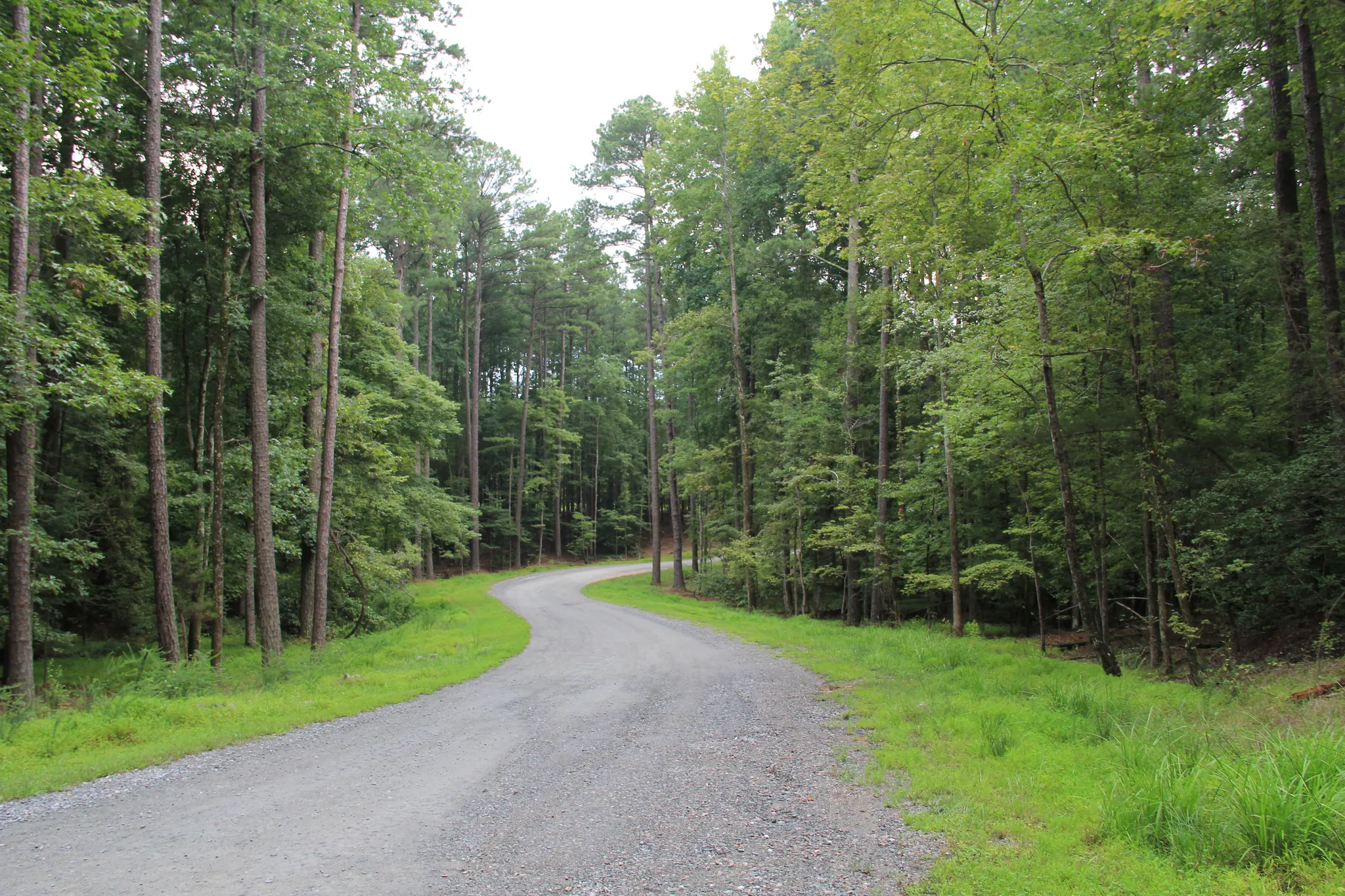 William B. Umstead State Park