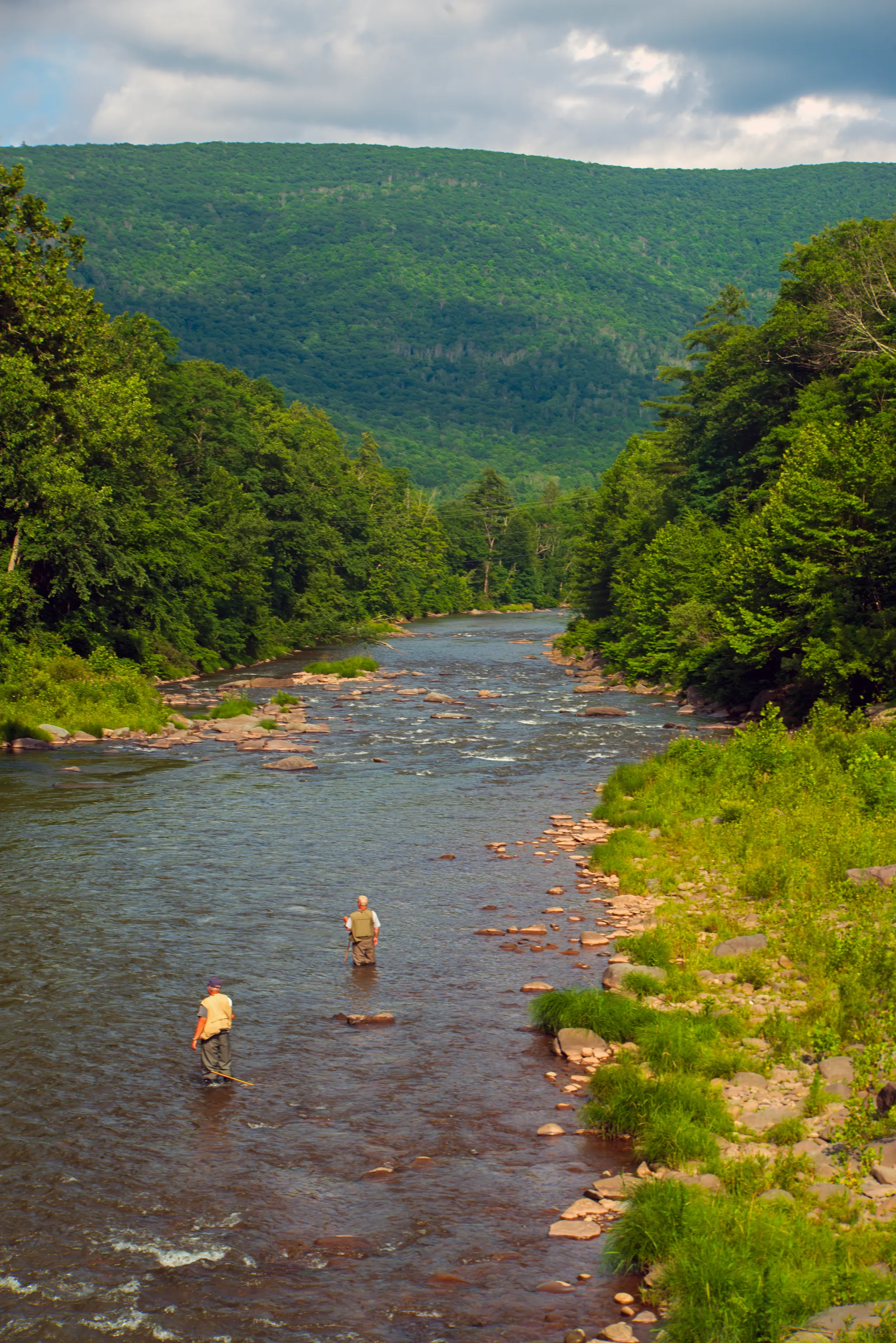 Woodland Valley
