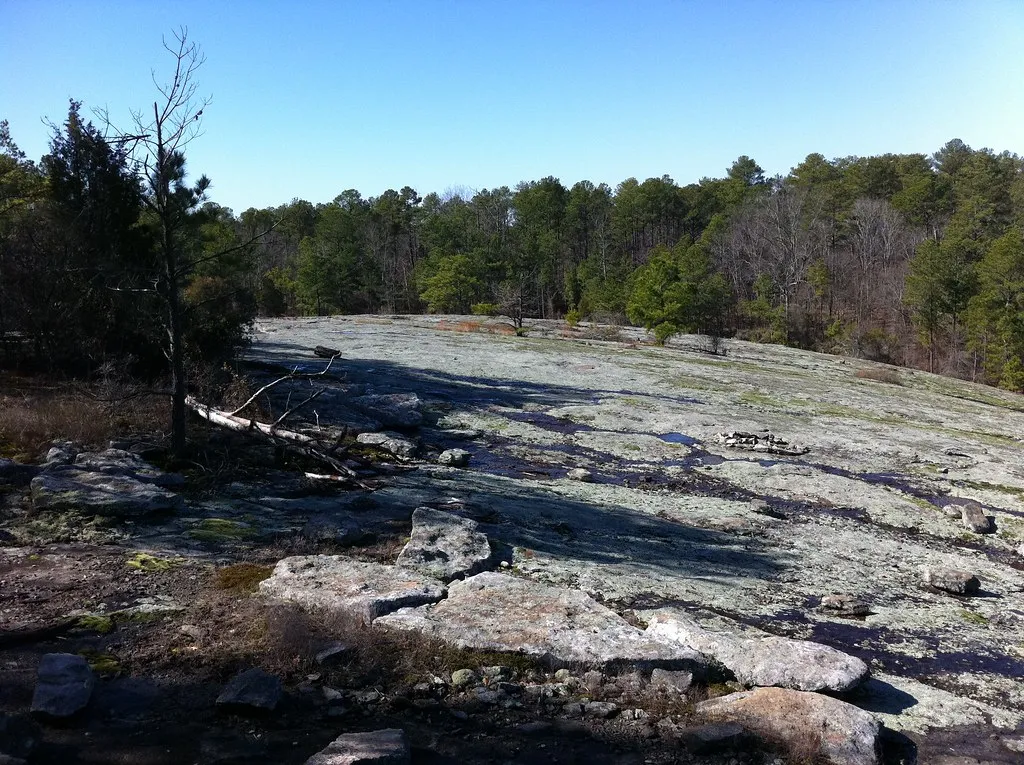 Panola Mountain State Park