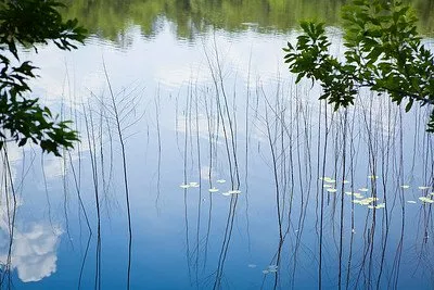 Magnolia Springs State Park
