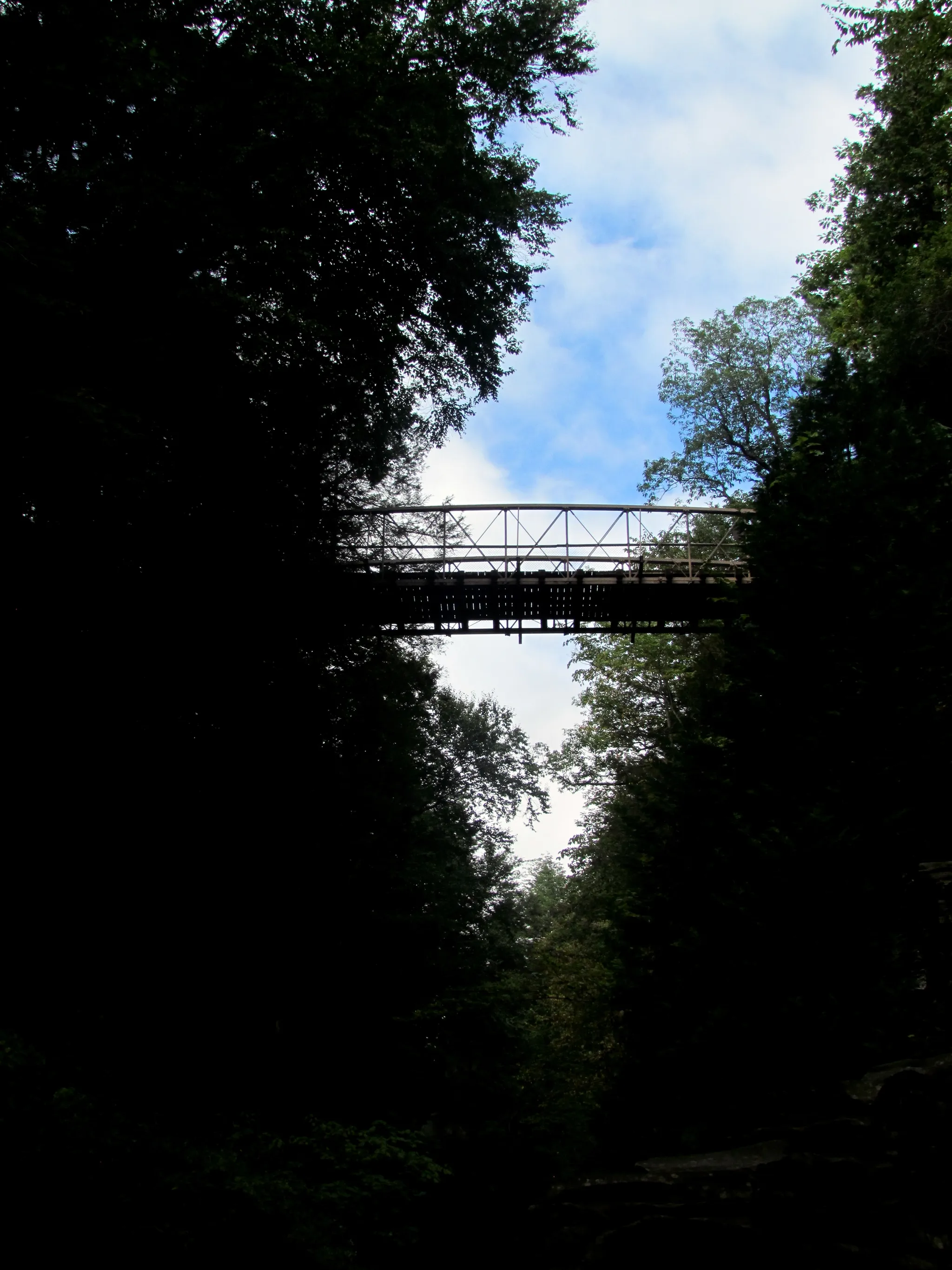 Watkins Glen State Park