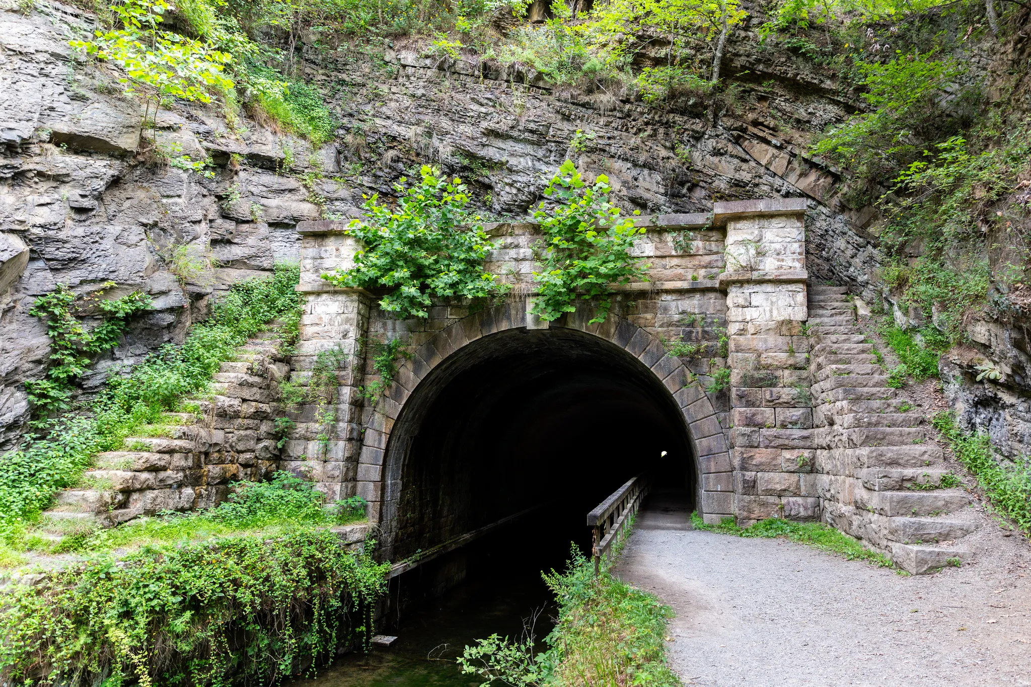 Paw Paw Tunnel Campsite