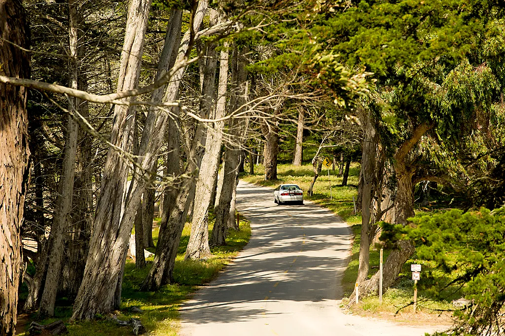 Morro Bay State Park Campground