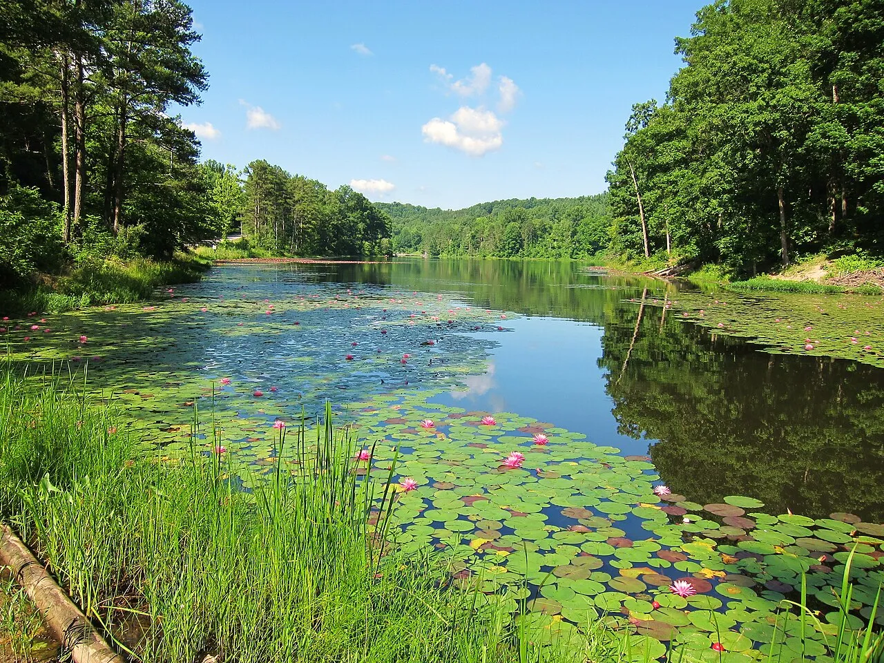 Lake Hope Campground Sites 50-147 & Group Camps