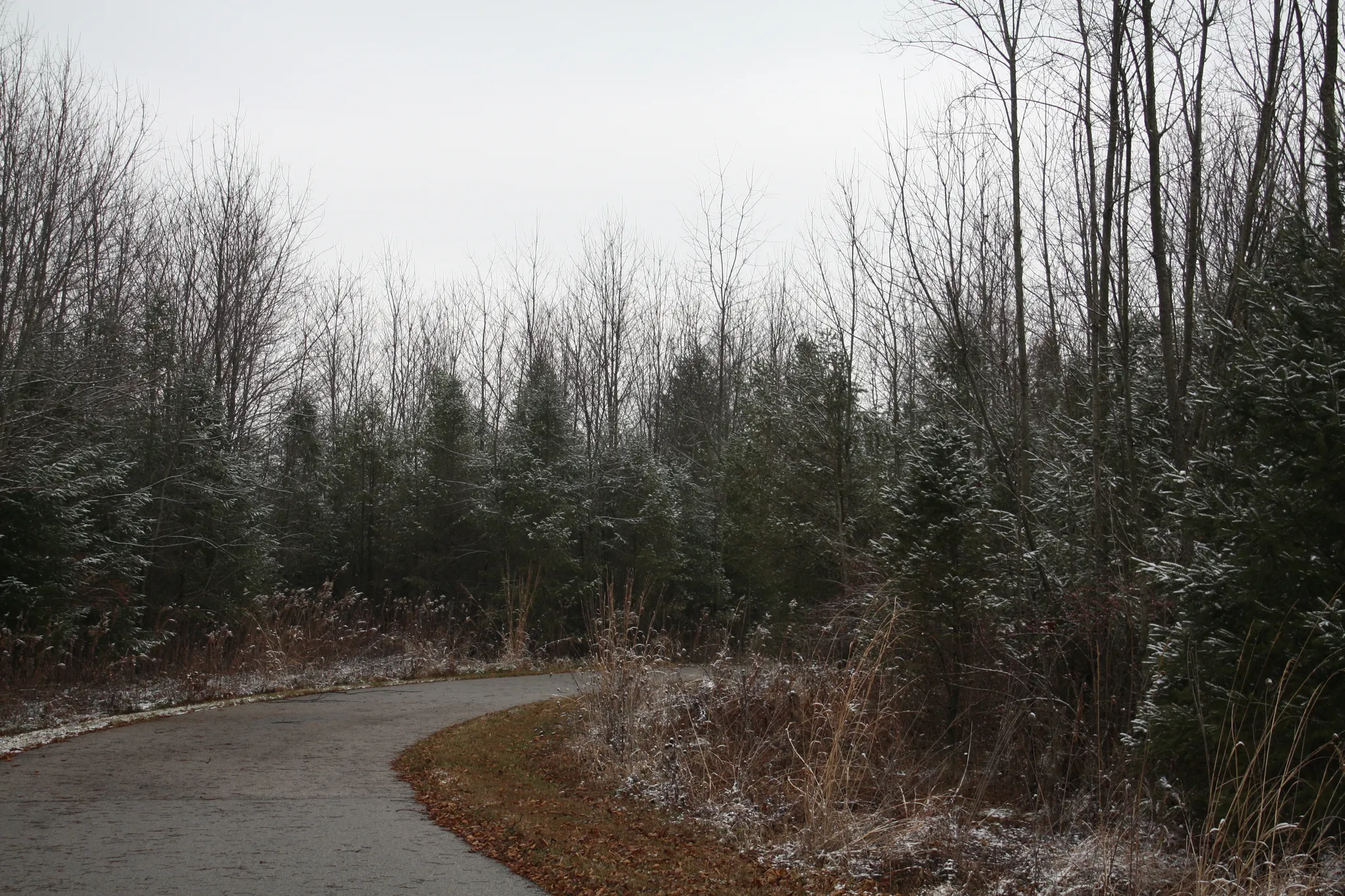 Prophetstown State Park