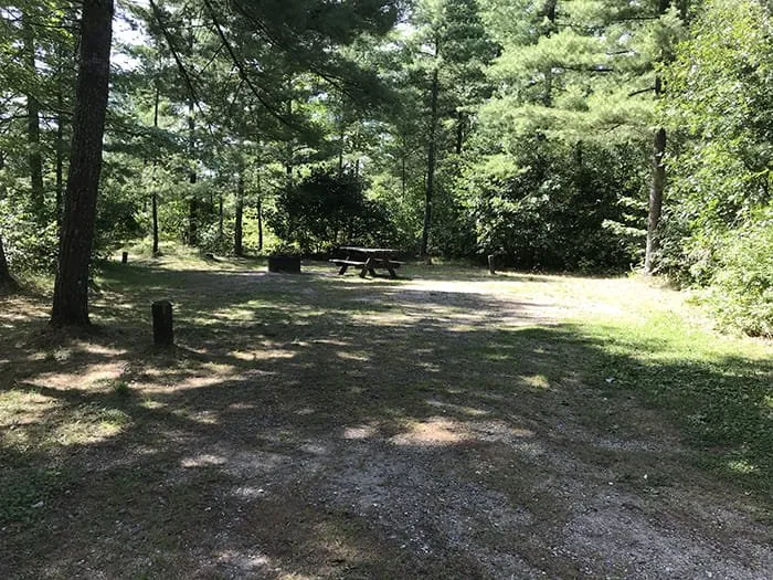 Jones Lake State Forest Campground