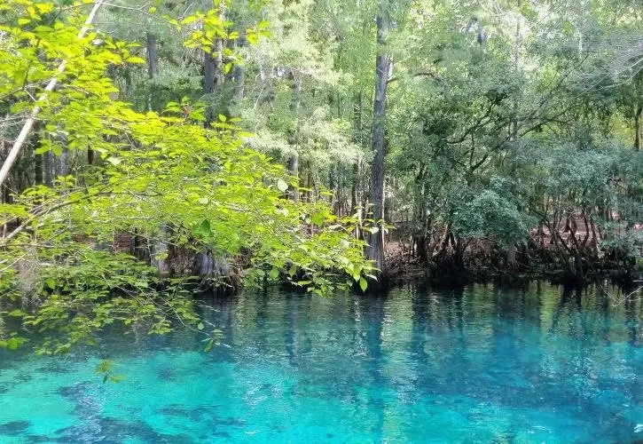 Manatee Springs State Park Loop Mag1