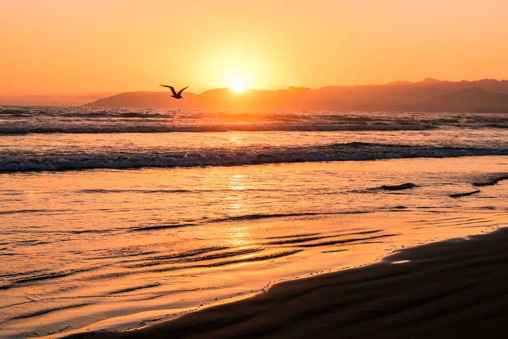 Oceano Campground