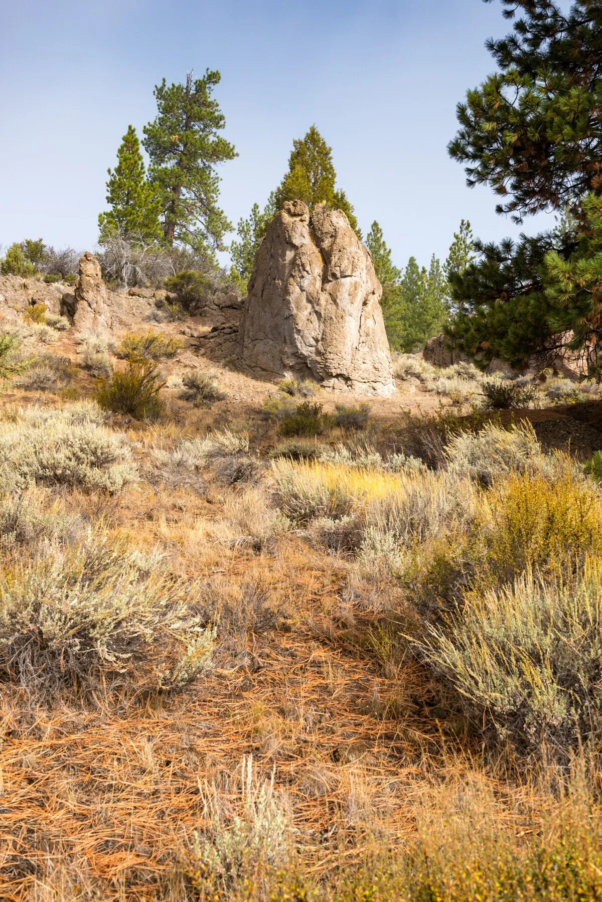 Dairy Point Campground