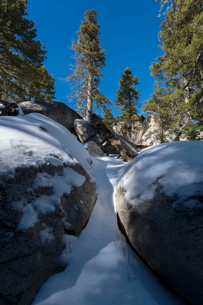 Strawberry Junction Campground