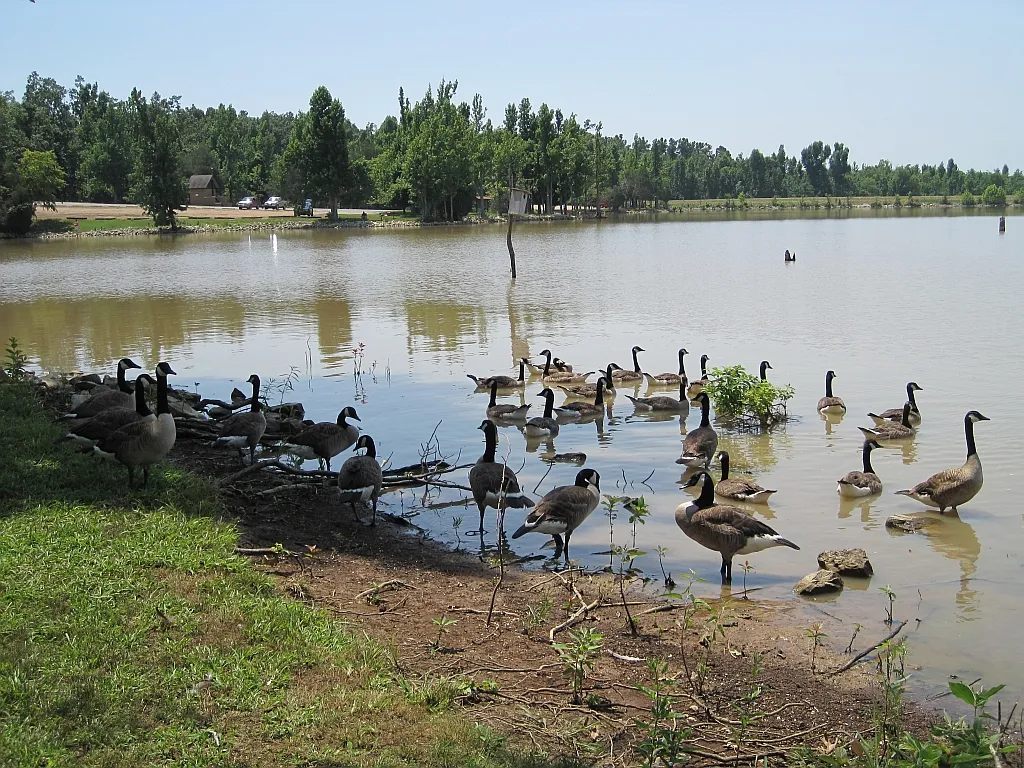 Lake Frierson Campground