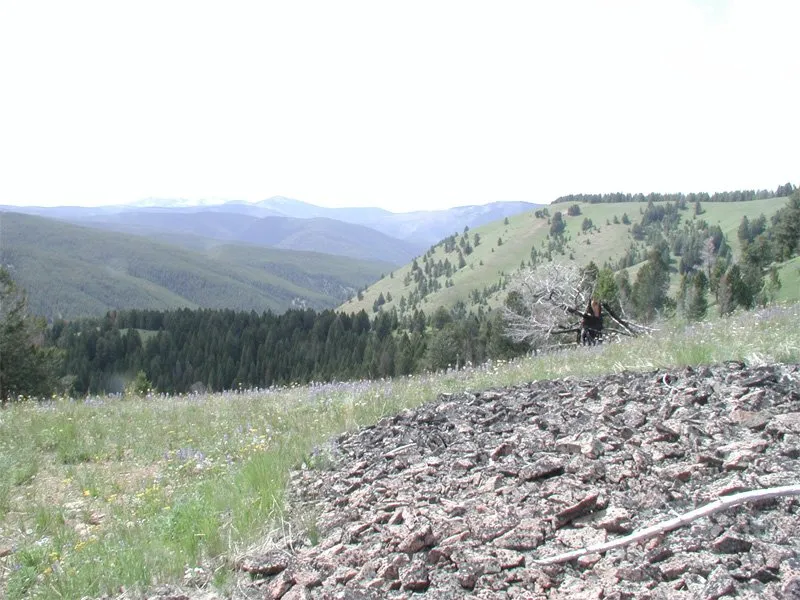 Martin Creek Campground