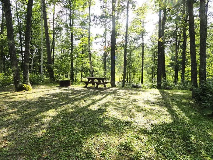 Glidden Lake State Forest Campground