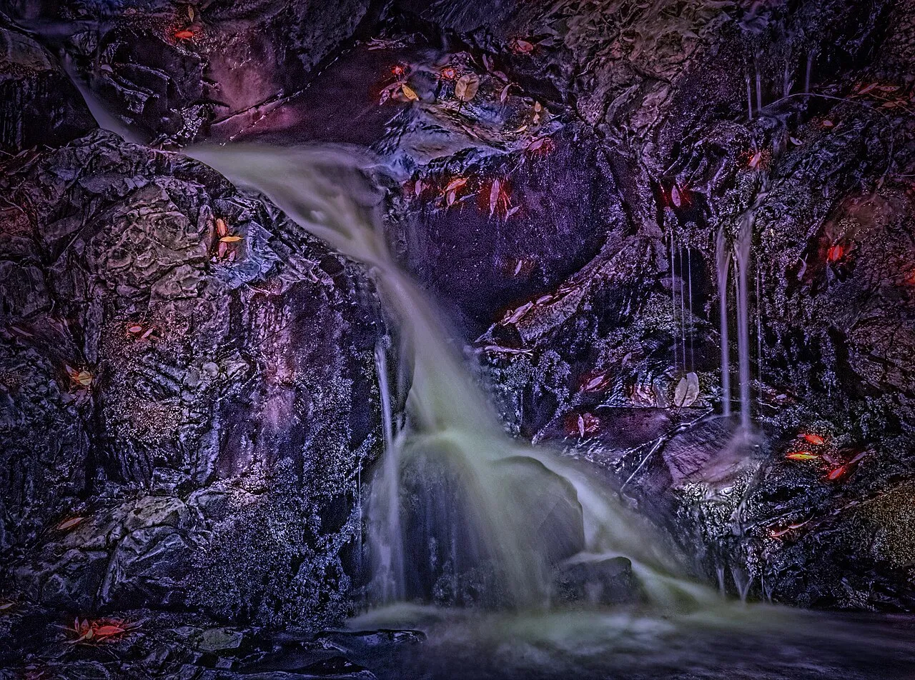 Uvas Canyon