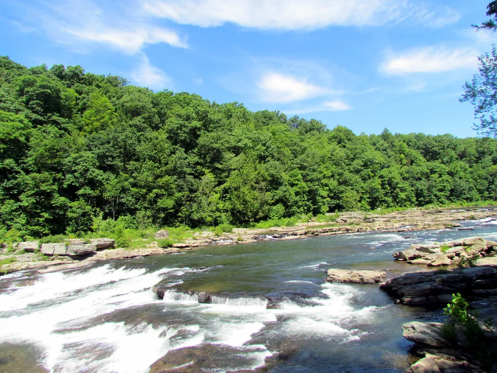 Ohiopyle State Park