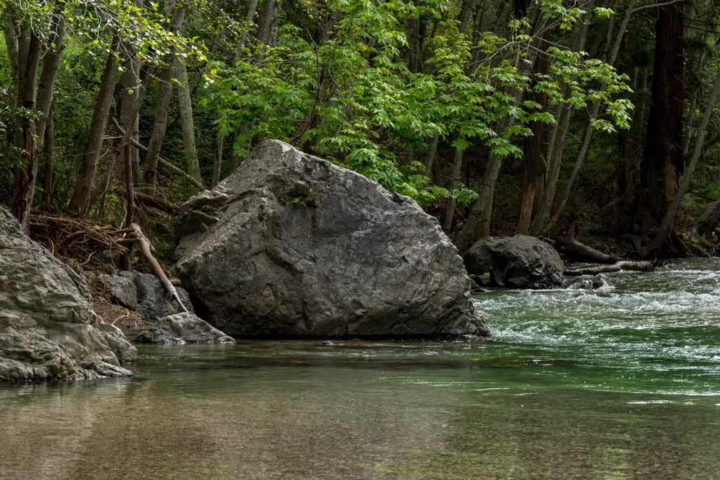Pfeiffer Big Sur Campground
