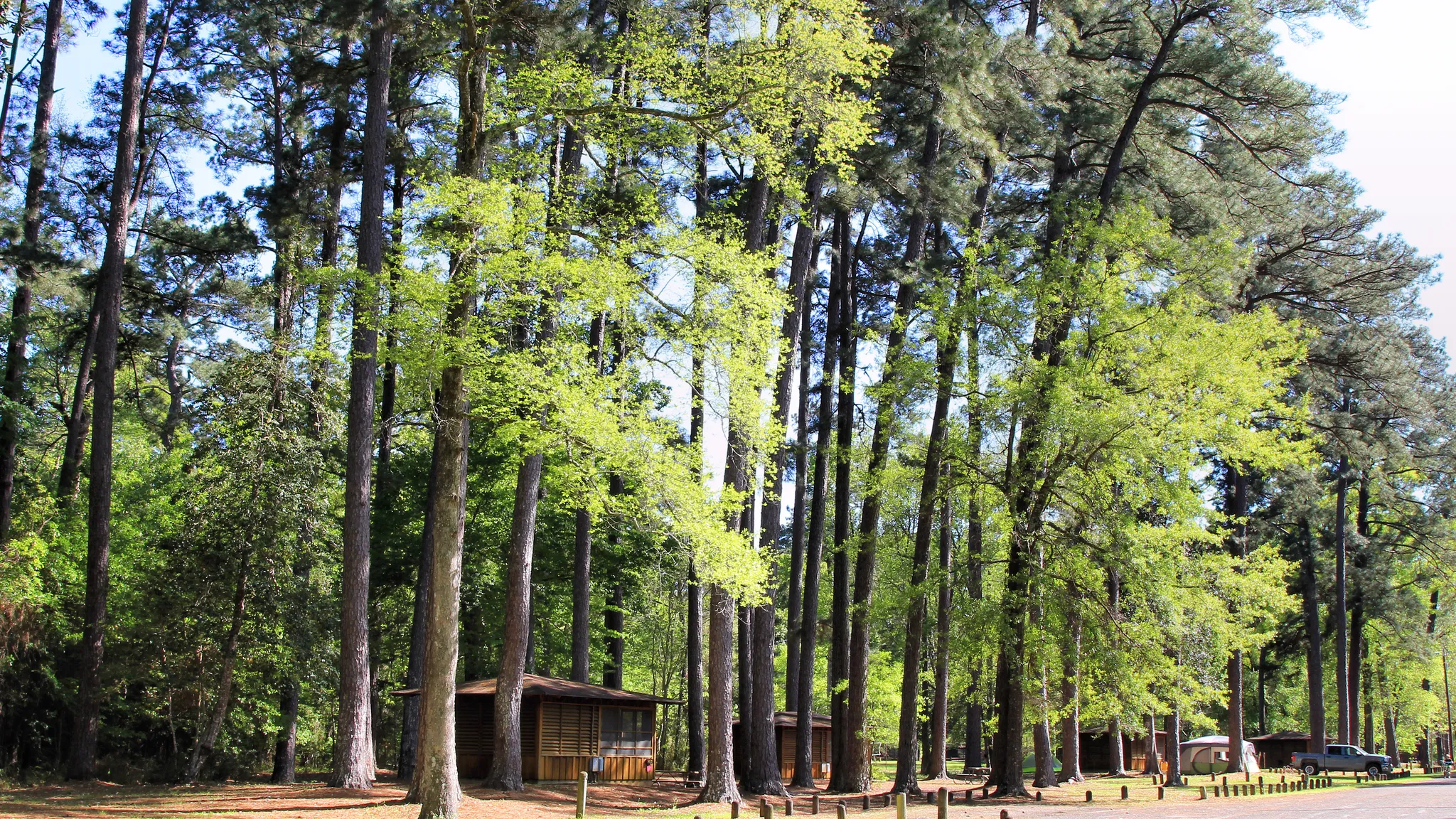 Martin Dies Jr. State Park