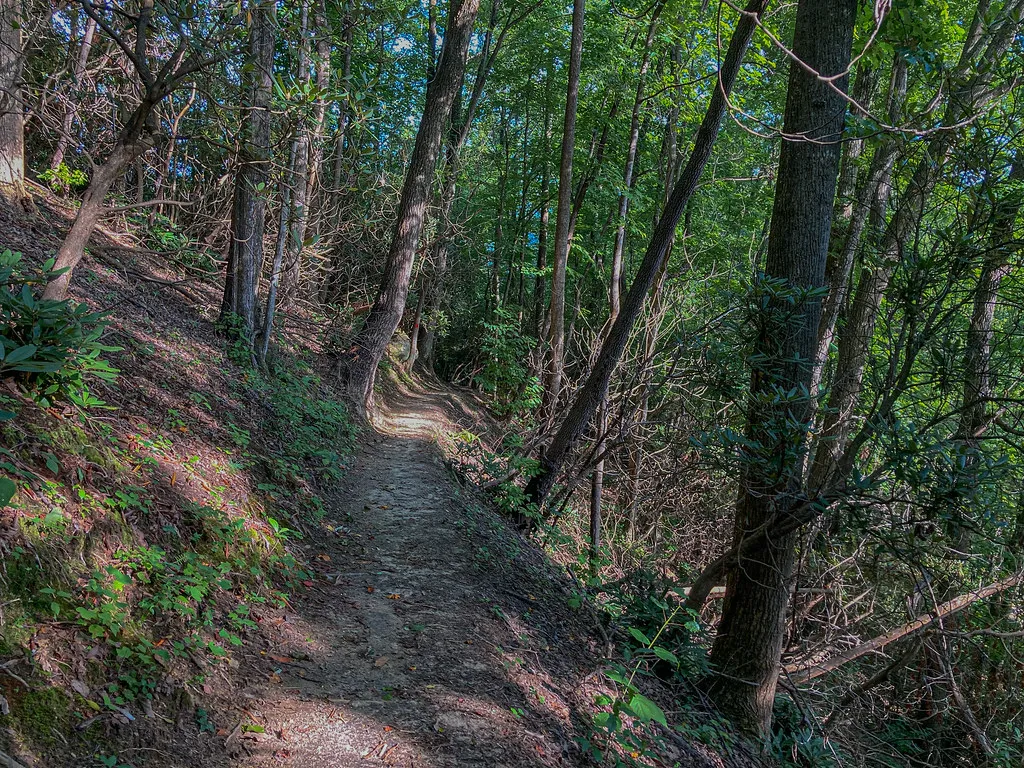Stone Mountain State Park