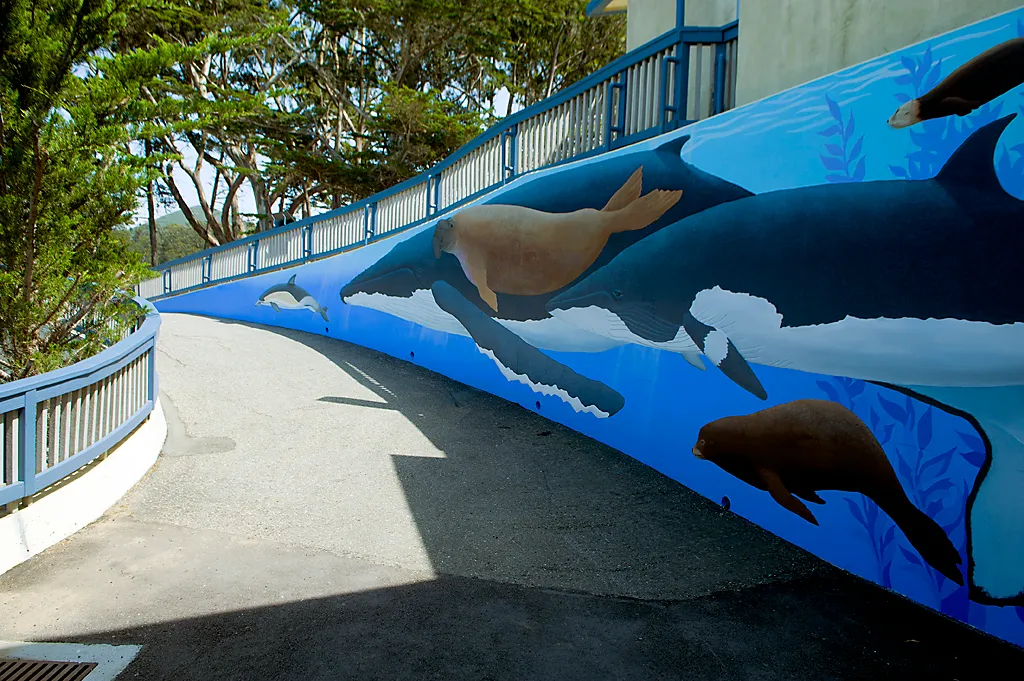 Morro Bay State Park Campground