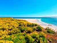 San Miguel Island