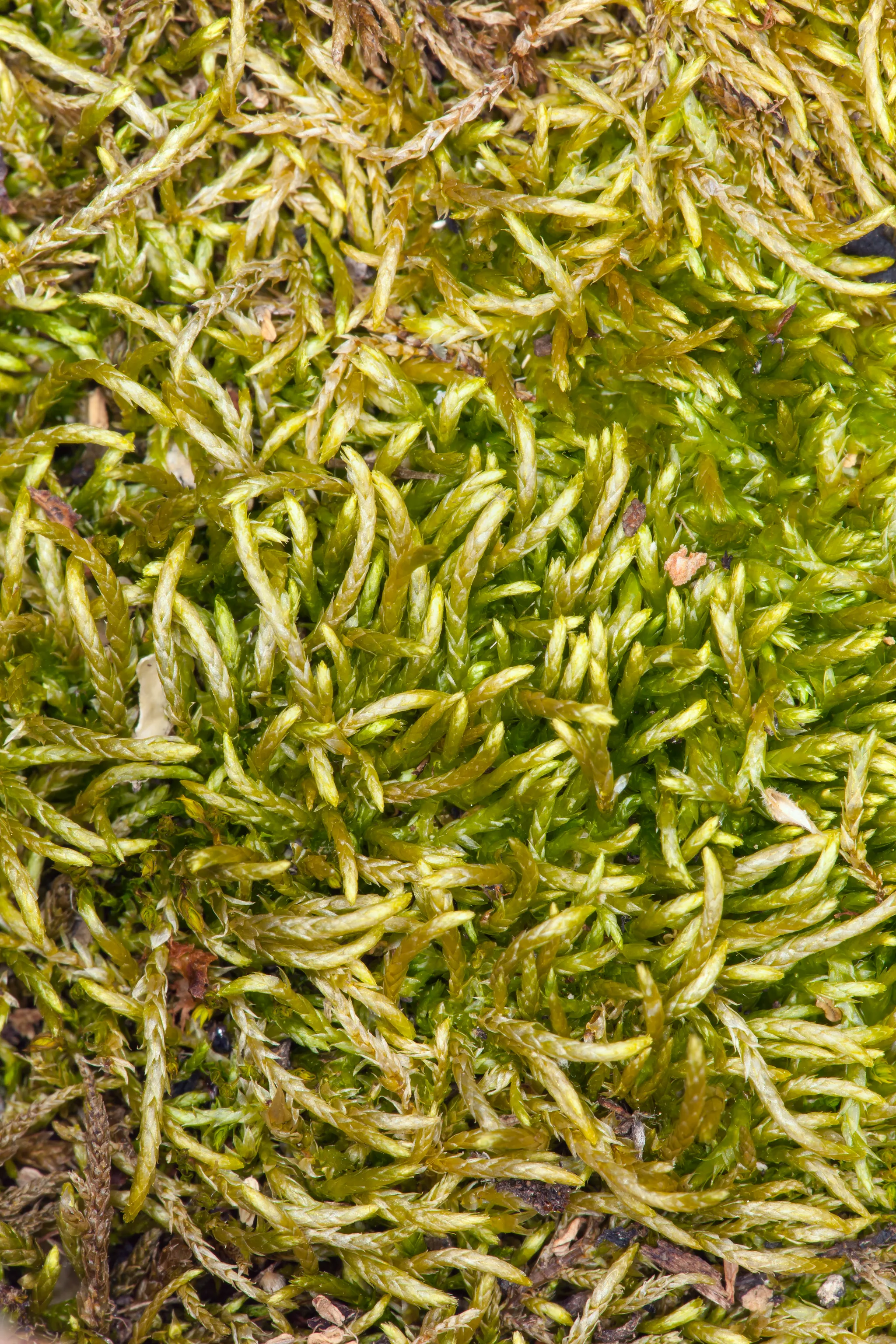 Clear Lake Group Camp