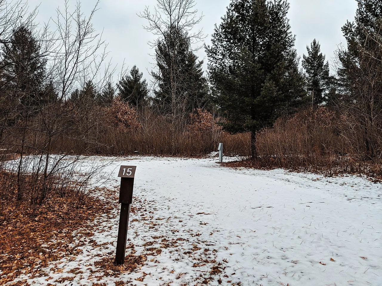 Governor Knowles State Forest