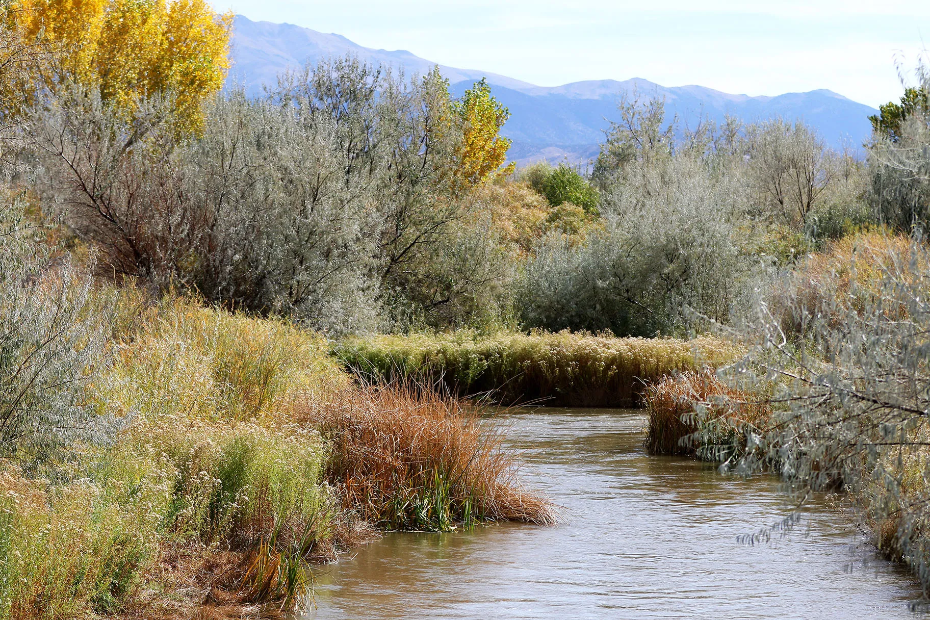 Walker River Campground