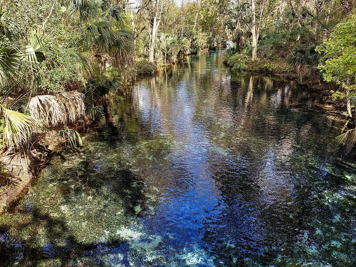 Silver Springs State Park Campground
